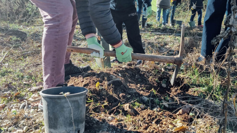 WOWnature-Parco Oglio nord_23.11.24-3