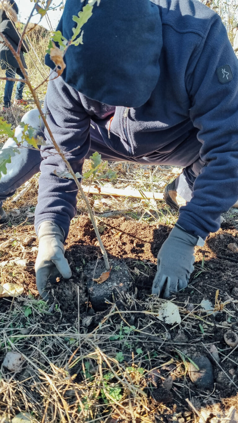 Tree-planting event at Oglio Nord Park, November 2024