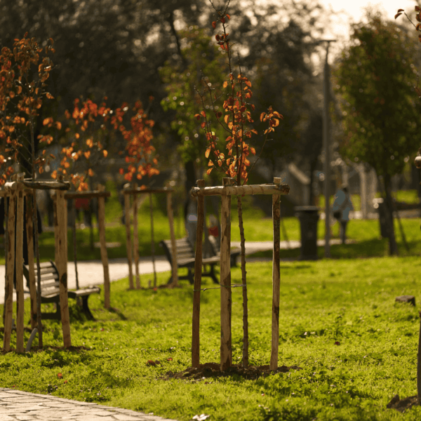 Parco Aldo Moro a Ciampino