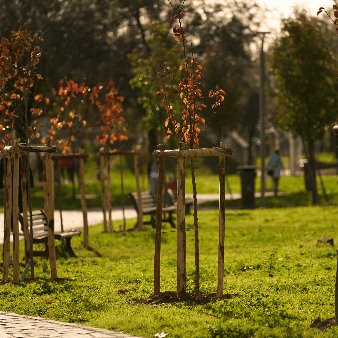 Parco Aldo Moro a Ciampino