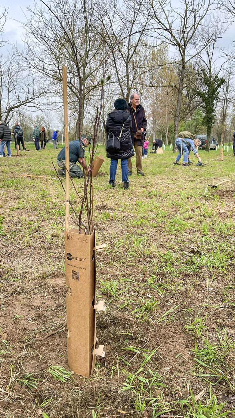 WOWnature tree-planting event at Parco del Serio, March 2025