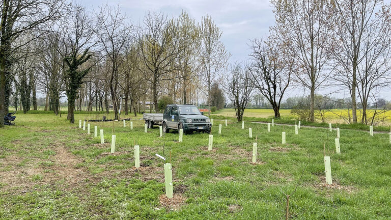 WOWnature tree-planting event at Parco del Serio, March 2025