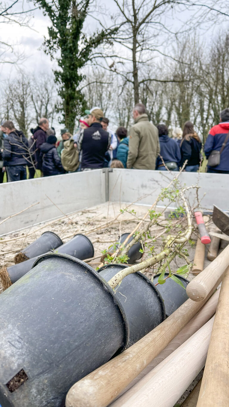 WOWnature tree-planting event at Parco del Serio, March 2025
