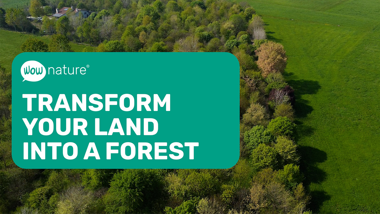 Transform your land into a forest