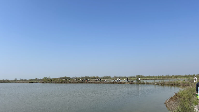 WOWnature_Lio Piccolo_05.04.25-16