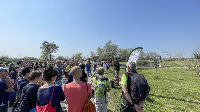 WOWnature_Lio Piccolo_05.04.25-19