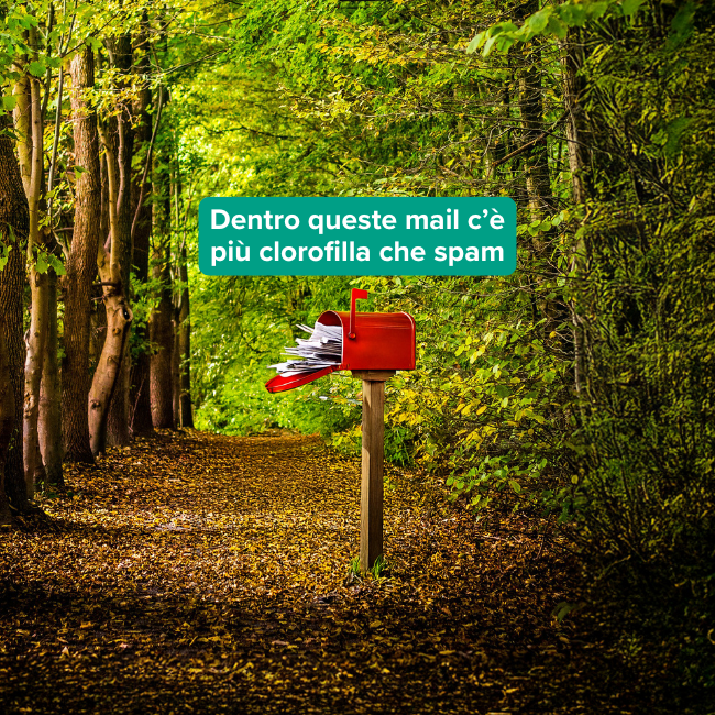 Newsletter WOWnature