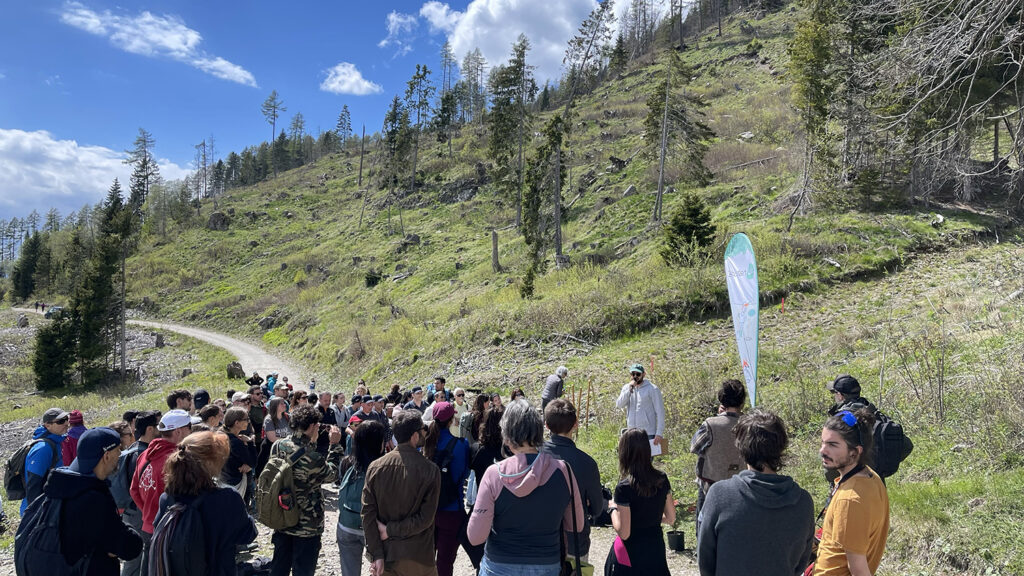 Evento WOWnature a Bosco della Panarotta, maggio 2025