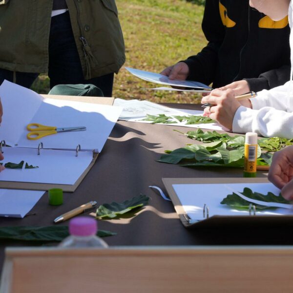 Evento WOWnature a Bosco di Villa delle Coste, maggio 2025