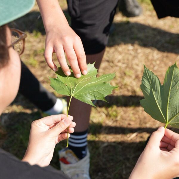 Evento WOWnature a Bosco di Villa delle Coste, maggio 2025