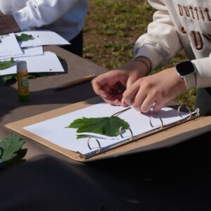 Tree planting event at Bosco di Villa delle Coste, May 2025