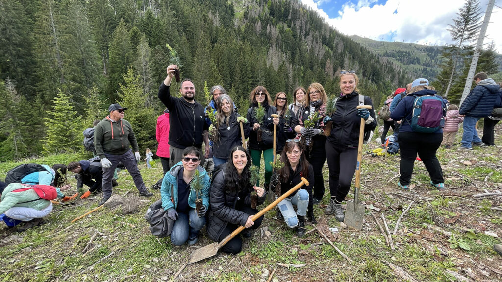 Evento di impianto di nuovi alberi con WOWnature in Val di Fiemme