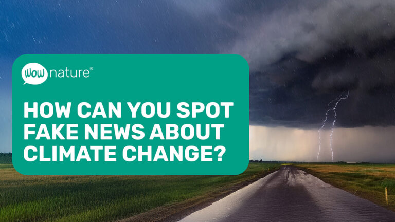 How can you spot Fake News about climate change?