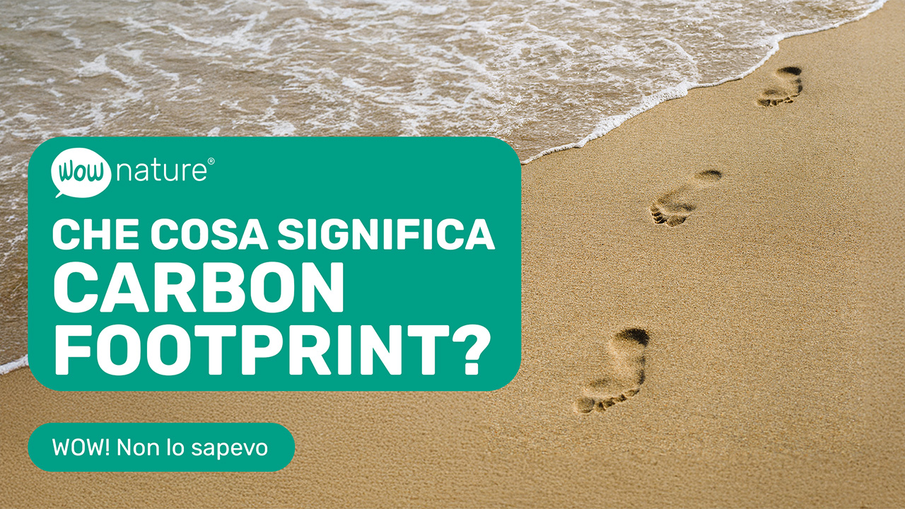 Cosa significa Carbon Footprint