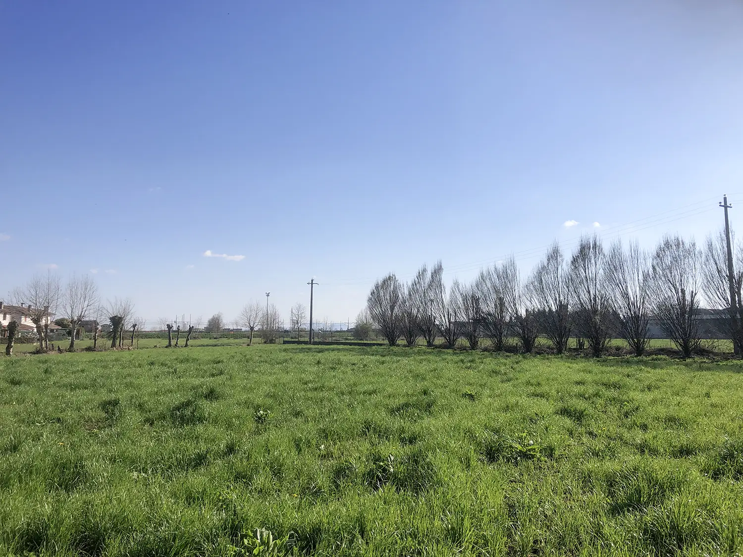 Bosco delle Risorgive