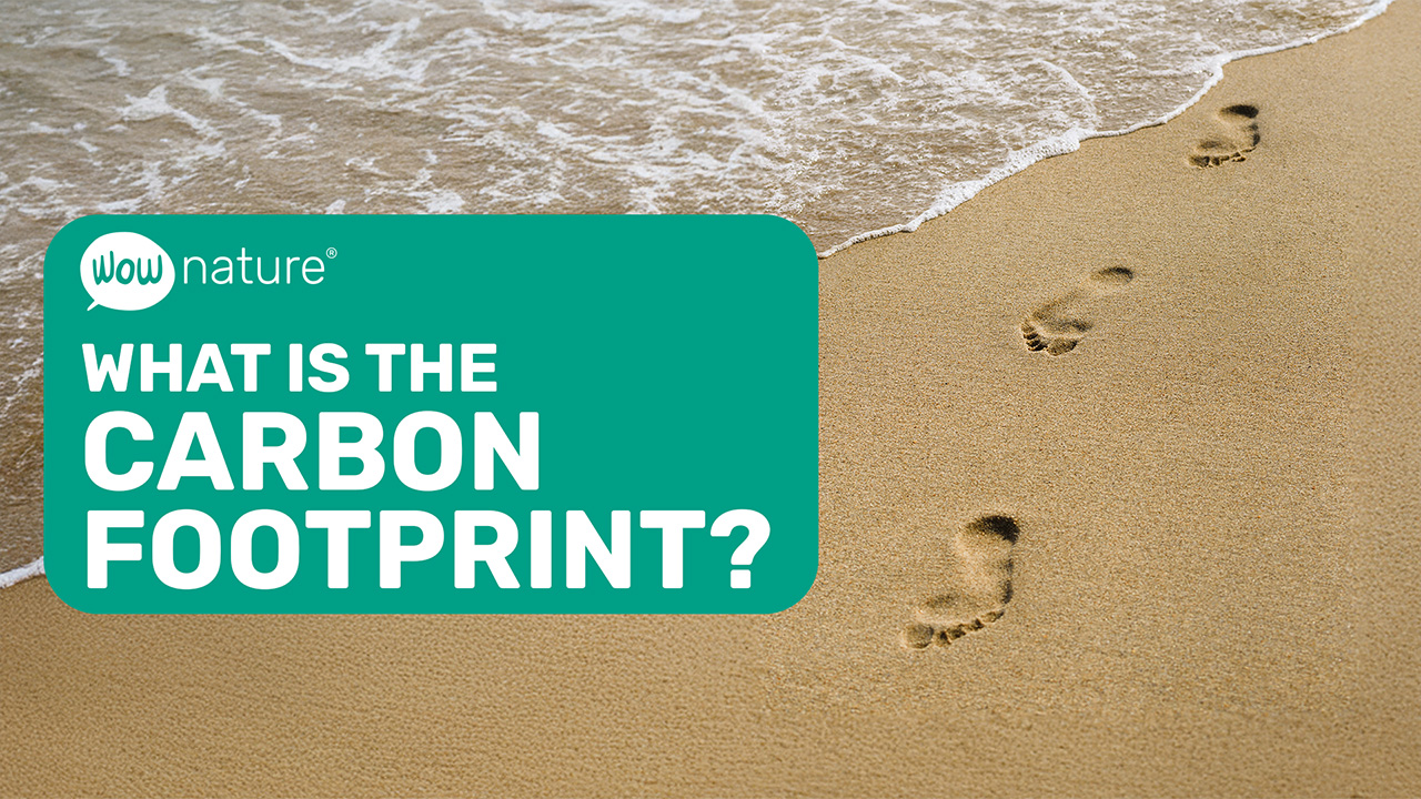 What is the Carbon Footprint