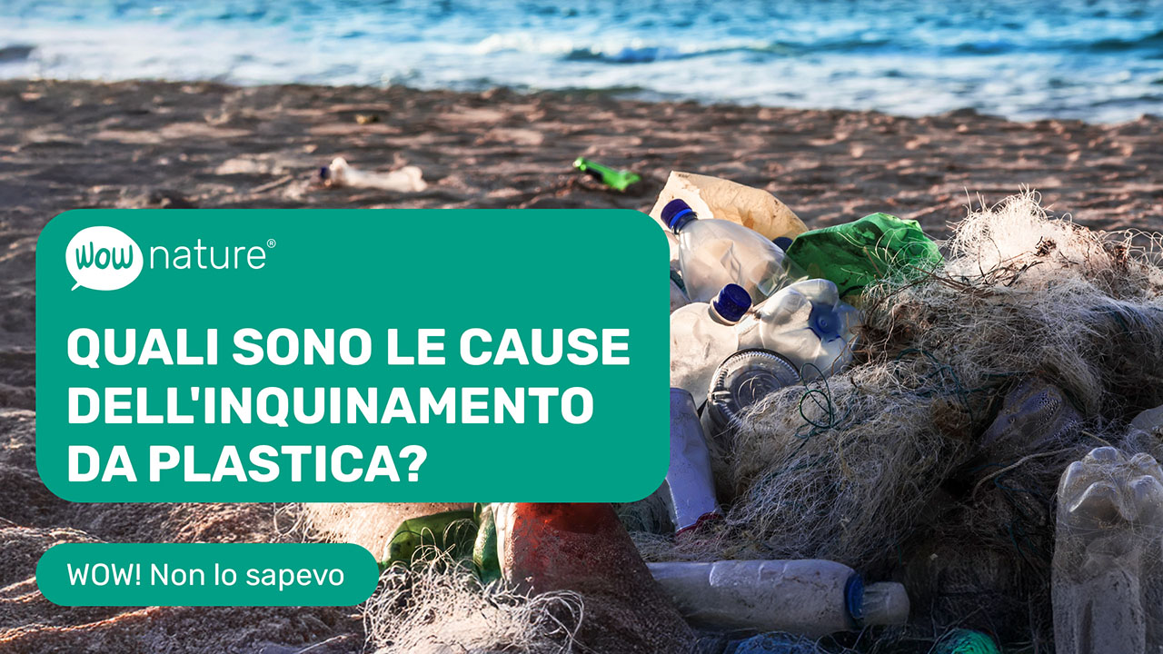 Inquinamento da plastica