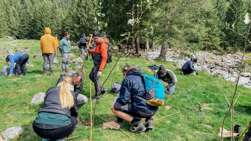 Persone che piantano gli alberi con WOWnature