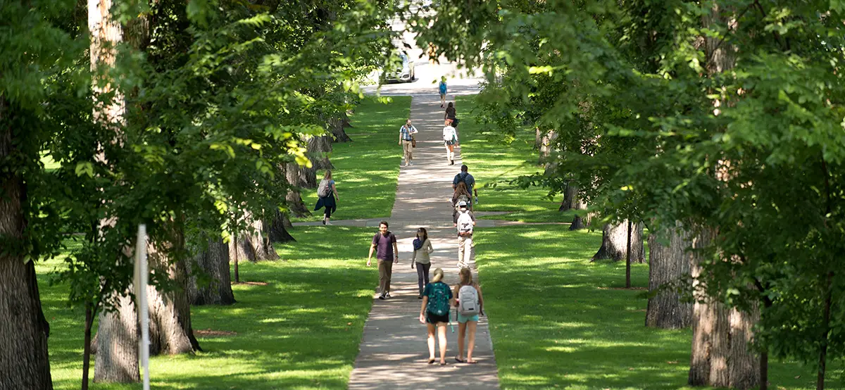 gente che passeggia in viale alberato