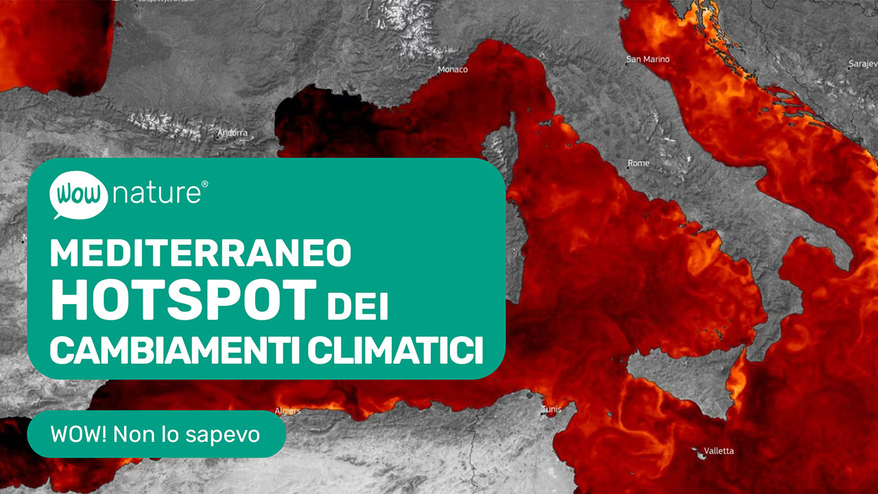 Mediterraneo hotspot dei cambiamenti climatici
