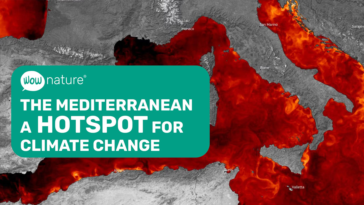 The Mediterranean a hotspot fro climate change
