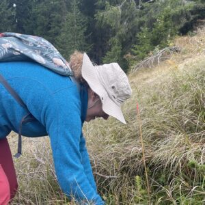 Tree planting event at Alta Badia, September 2025