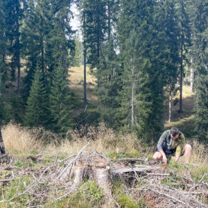 Tree planting event at Alta Badia, September 2025