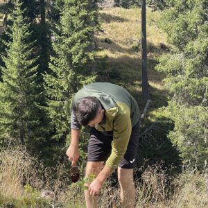 Tree planting event at Alta Badia, September 2025