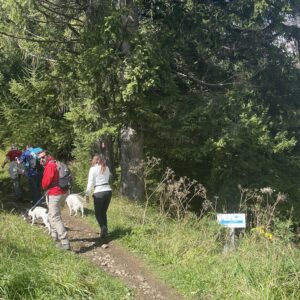 Tree planting event at Alta Badia, September 2025