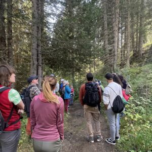 Tree planting event at Alta Badia, September 2025