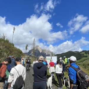 Tree planting event at Alta Badia, September 2025