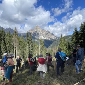 Tree planting event at Alta Badia, September 2025