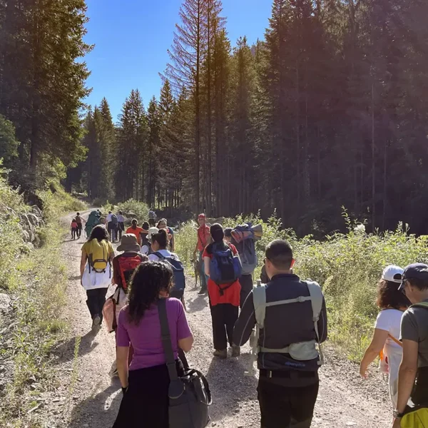 Tree planting in Val di Fiemme, september 2025