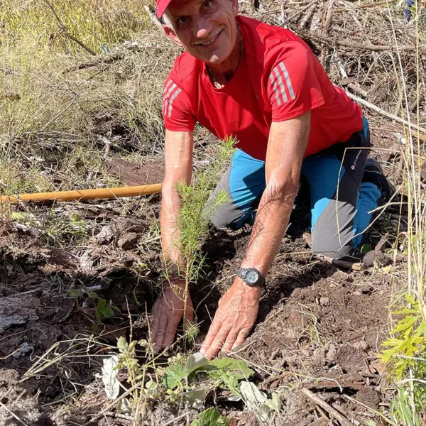 Tree planting in Val di Fiemme, september 2025