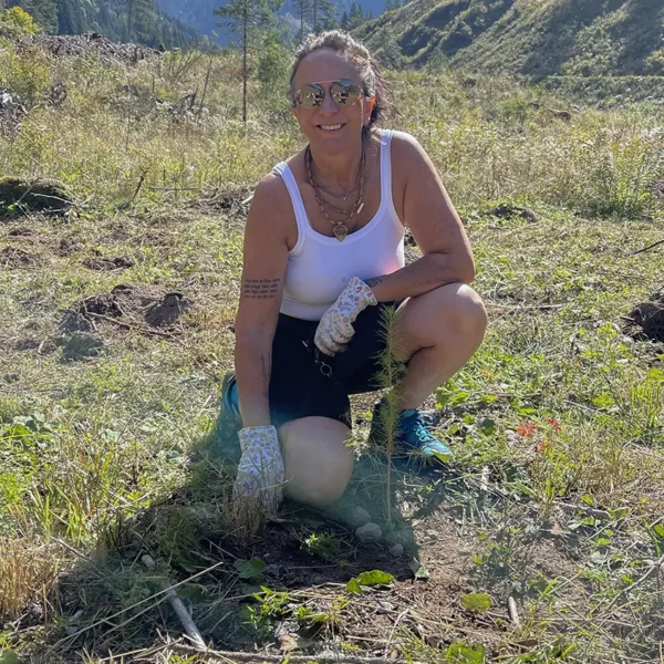 Tree planting in Val di Fiemme, september 2025