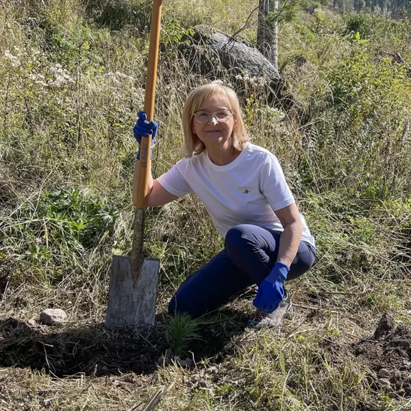 Tree planting in Val di Fiemme, september 2025