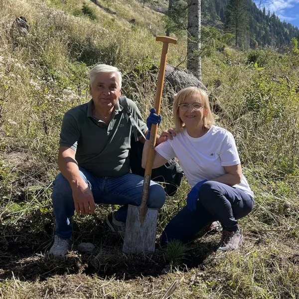 Tree planting in Val di Fiemme, september 2025