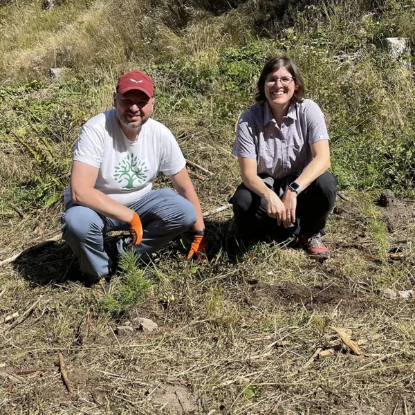 Tree planting in Val di Fiemme, september 2025