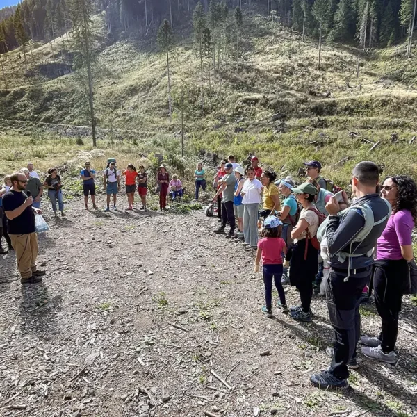 Tree planting in Val di Fiemme, september 2025