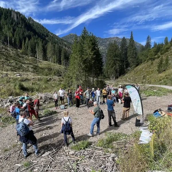 Tree planting in Val di Fiemme, september 2025