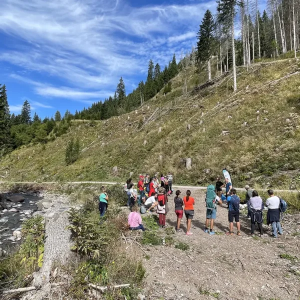 Tree planting in Val di Fiemme, september 2025