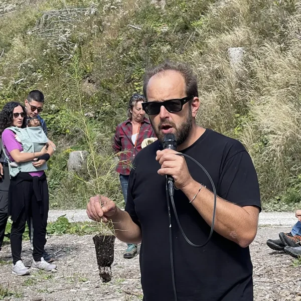 Tree planting in Val di Fiemme, september 2025