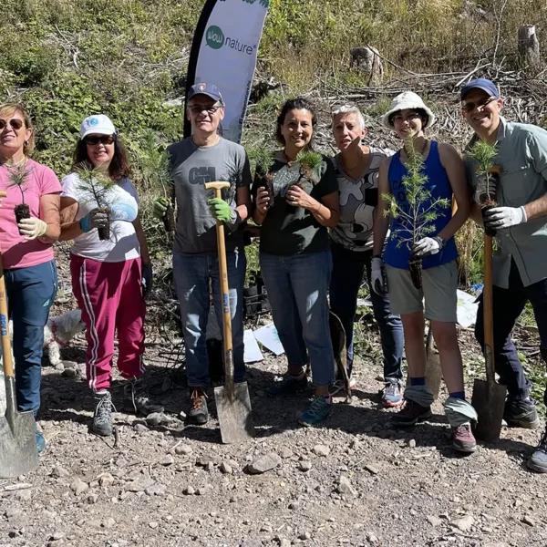Tree planting in Val di Fiemme, september 2025