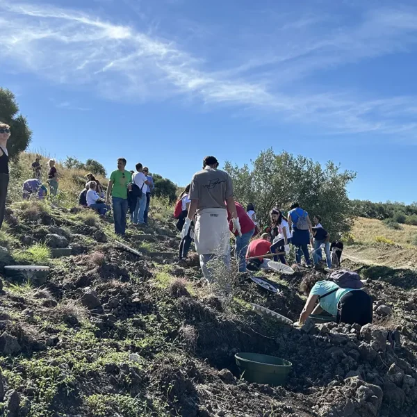 Evento a Bosco San Lio, ottobre 2025