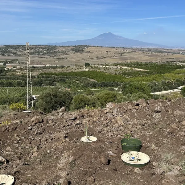 Evento a Bosco San Lio, ottobre 2025