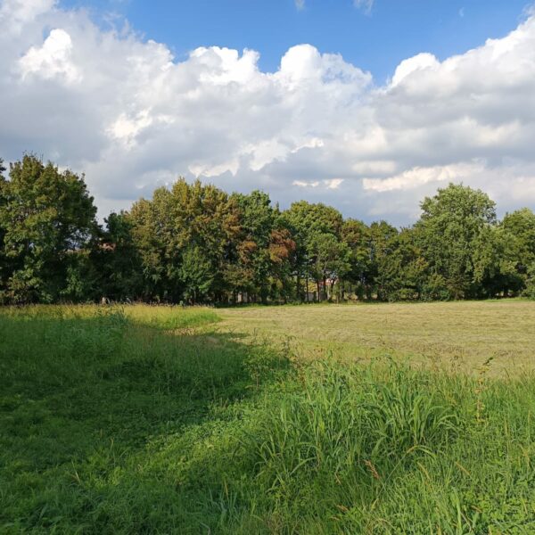 bosco campoverde a castelfranco veneto
