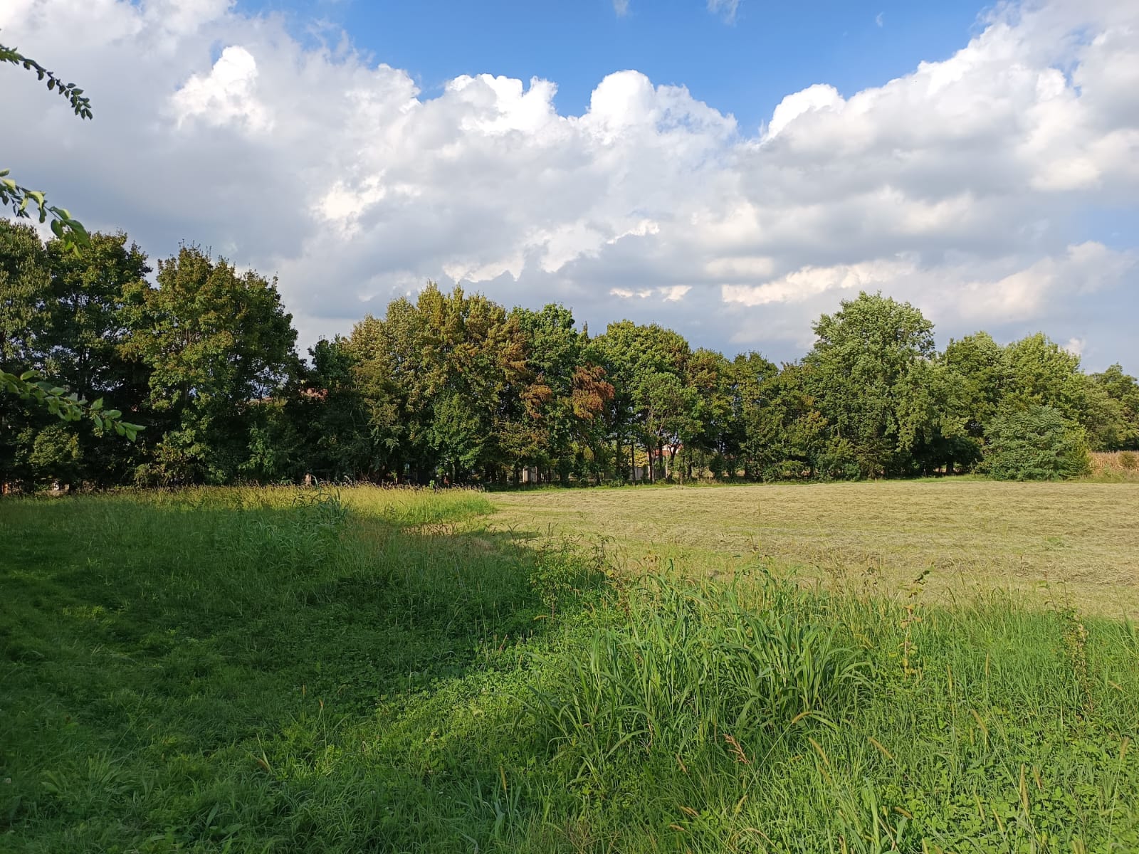 bosco campoverde a castelfranco veneto