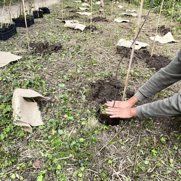 Evento presso le Torbiere del Sebino, ottobre 2025