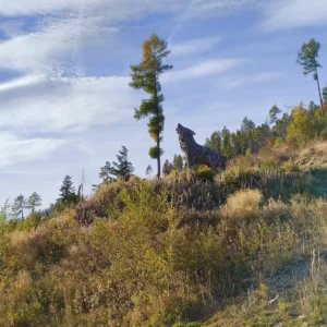 Evento presso il Parco Campo dei fiori, ottobre 2025