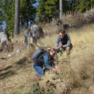 Evento presso il Bosco della Panarotta, ottobre 2025